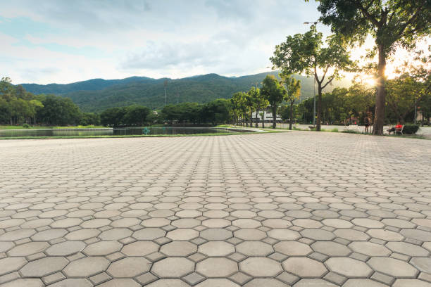 Best Commercial Driveway Pavers  in Chesapeake, VA
